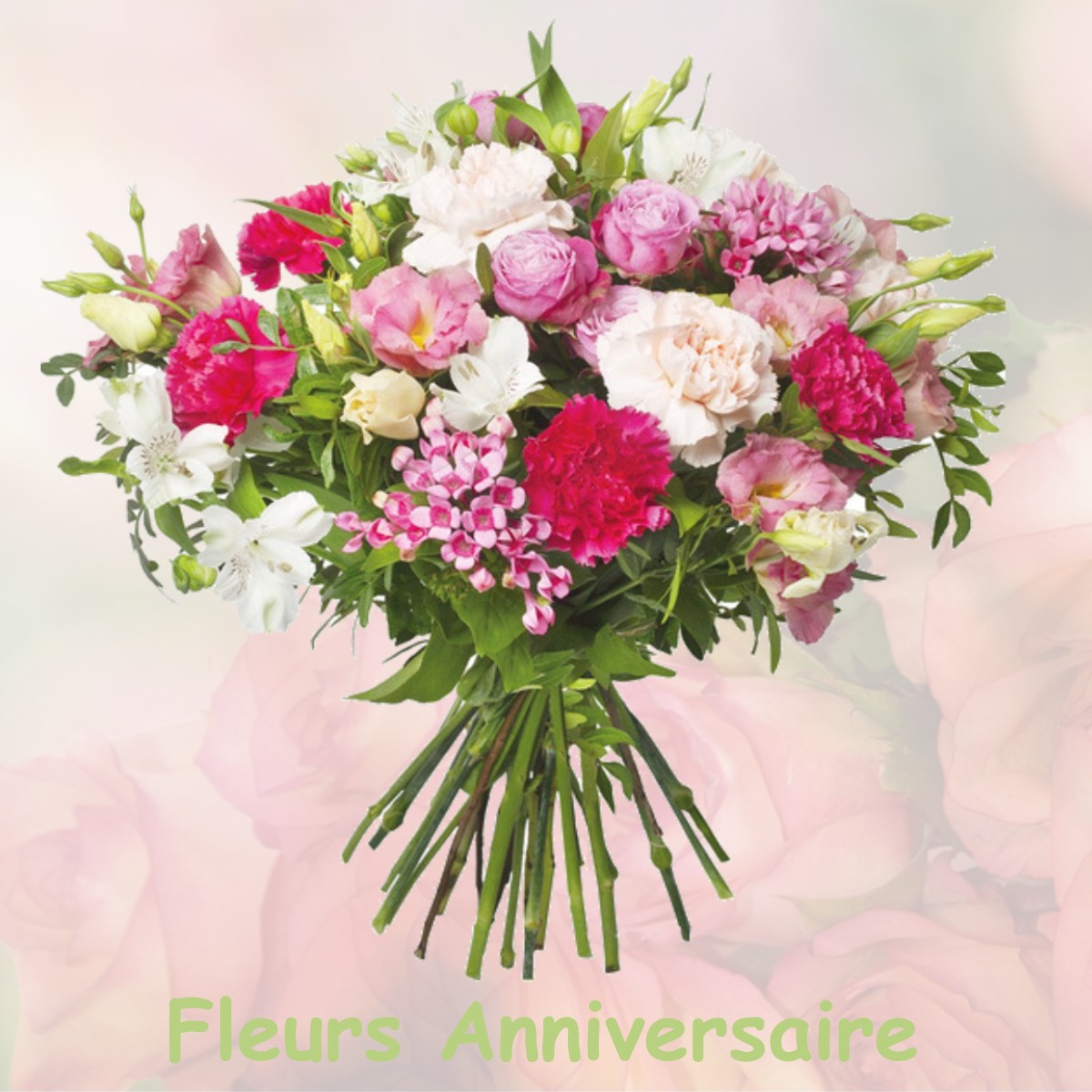 fleurs anniversaire BOIS-LE-ROI